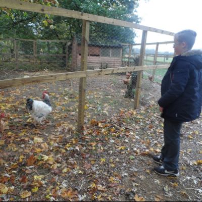 SAM_1913