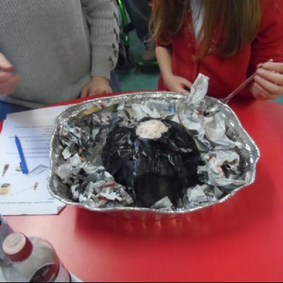 Family Science spring 2018