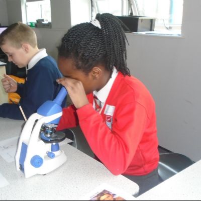 Yr 5 Science & maths day